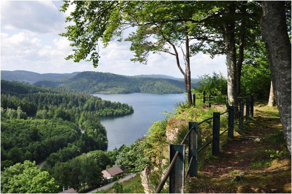 Hotel Restaurant Le Chalet Pierre-Percée エクステリア 写真